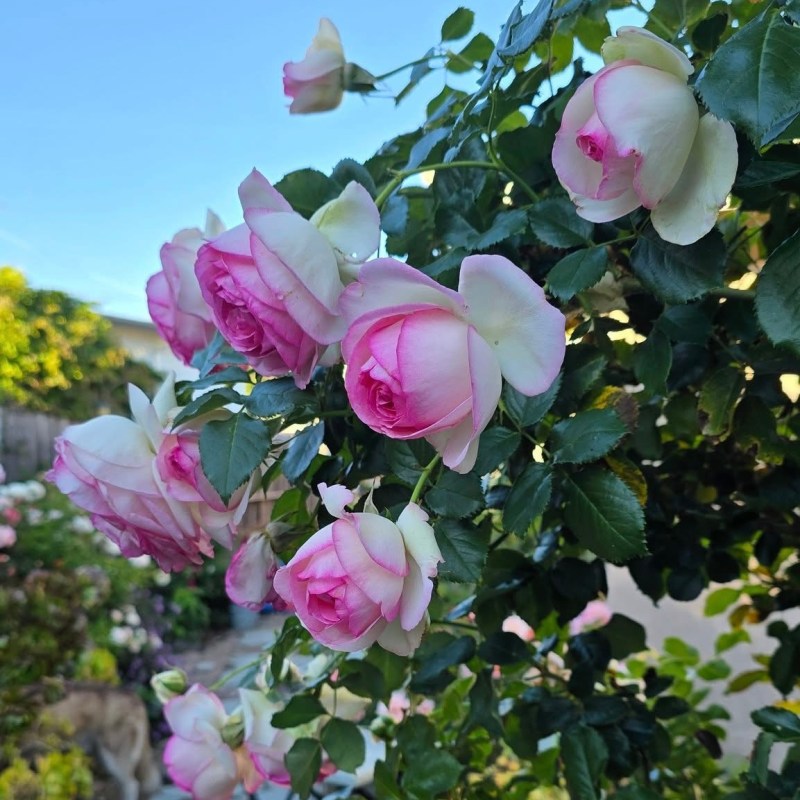 Love Is Never&nbsp;Wasted