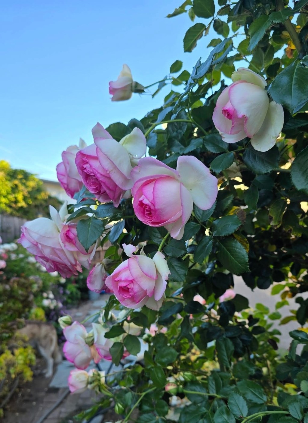 Love Is Never&nbsp;Wasted